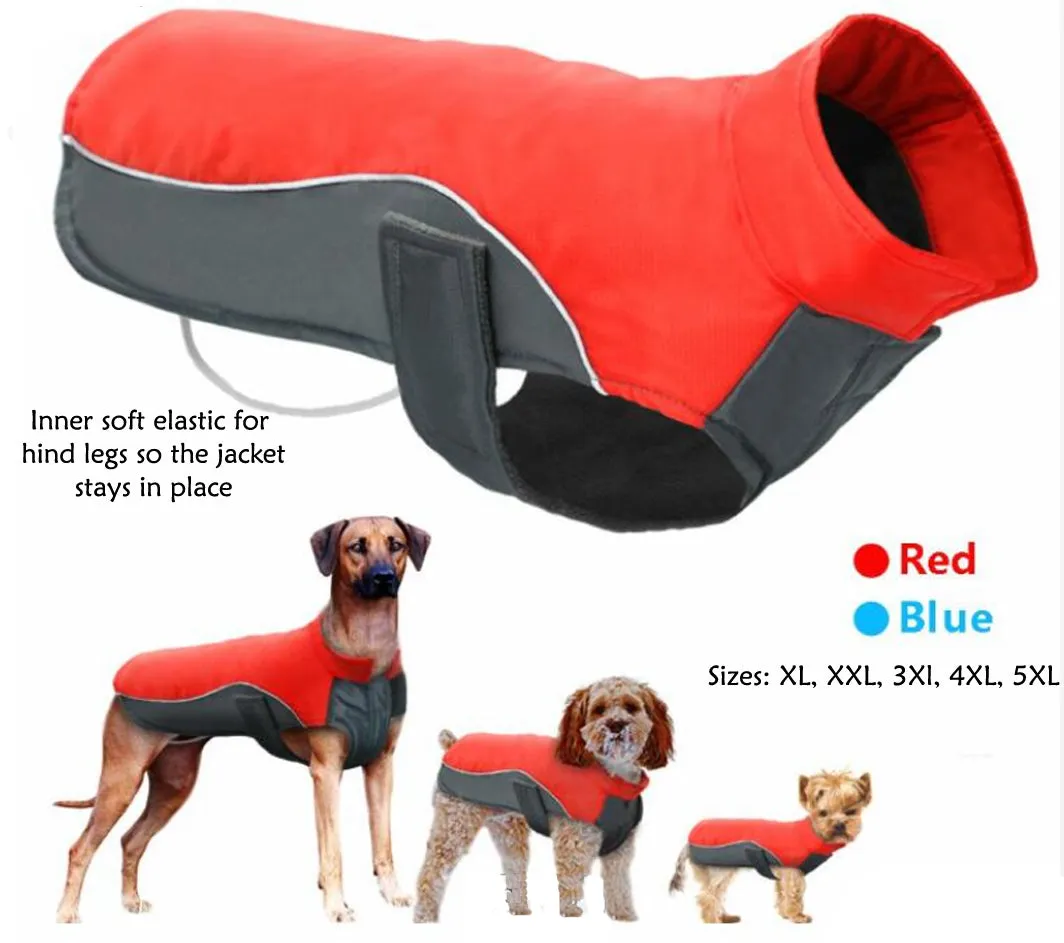 A A Pets' Free & Wild’ Jacket For Dogs & Cats - Red