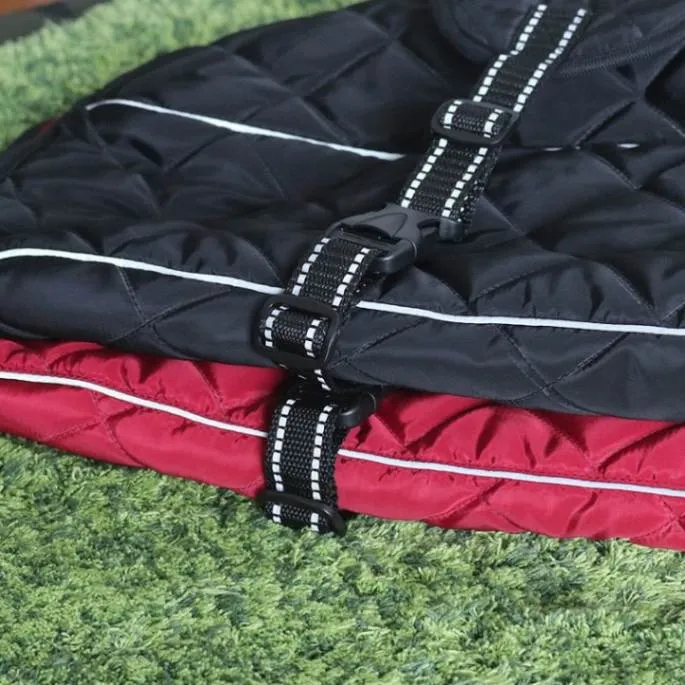 ASMPET Dog Winter Jacket: Ultimate Warmth and Style for Your Pup!