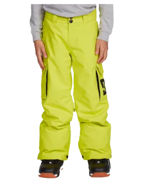 Dc Banshee Youth Pant - Sulphur Spring